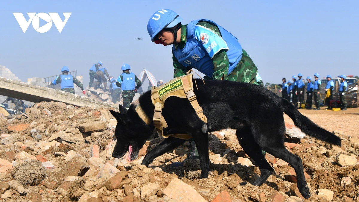 Trực thăng, chó nghiệp vụ tham gia diễn tập song phương Việt Nam - Ấn Độ